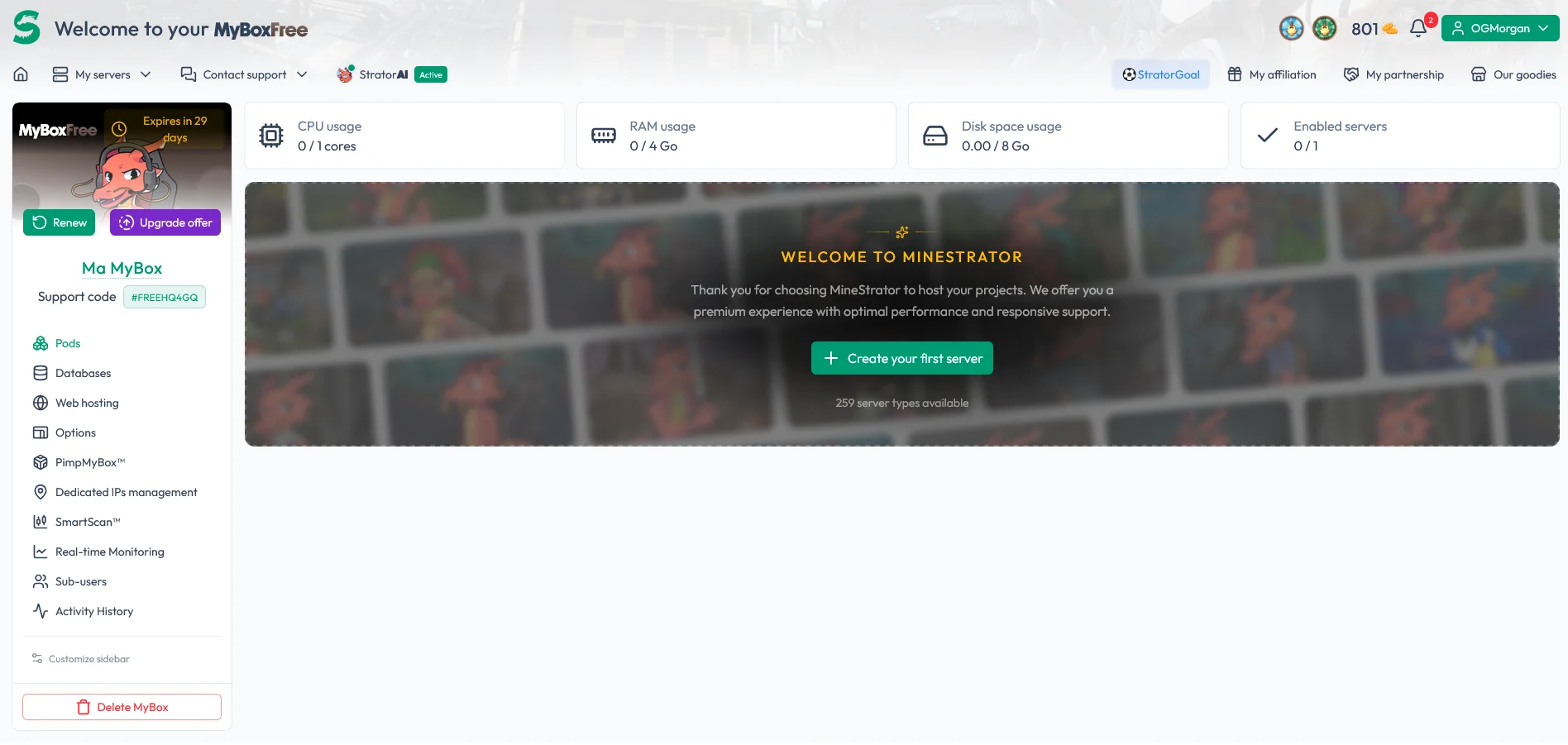 How to Create a Free Minecraft Server on MineStrator in 5 Minutes — illustration 4
