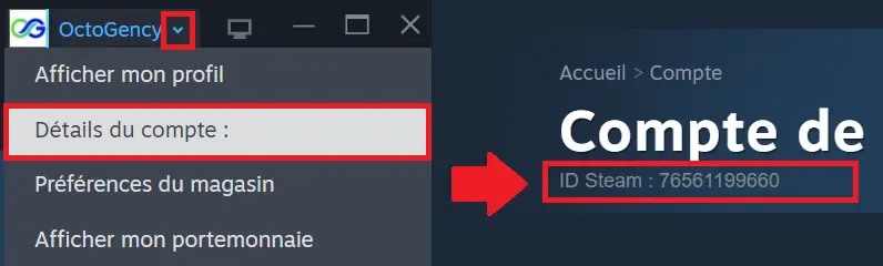 Page de profil Steam avec l’URL contenant le SteamID