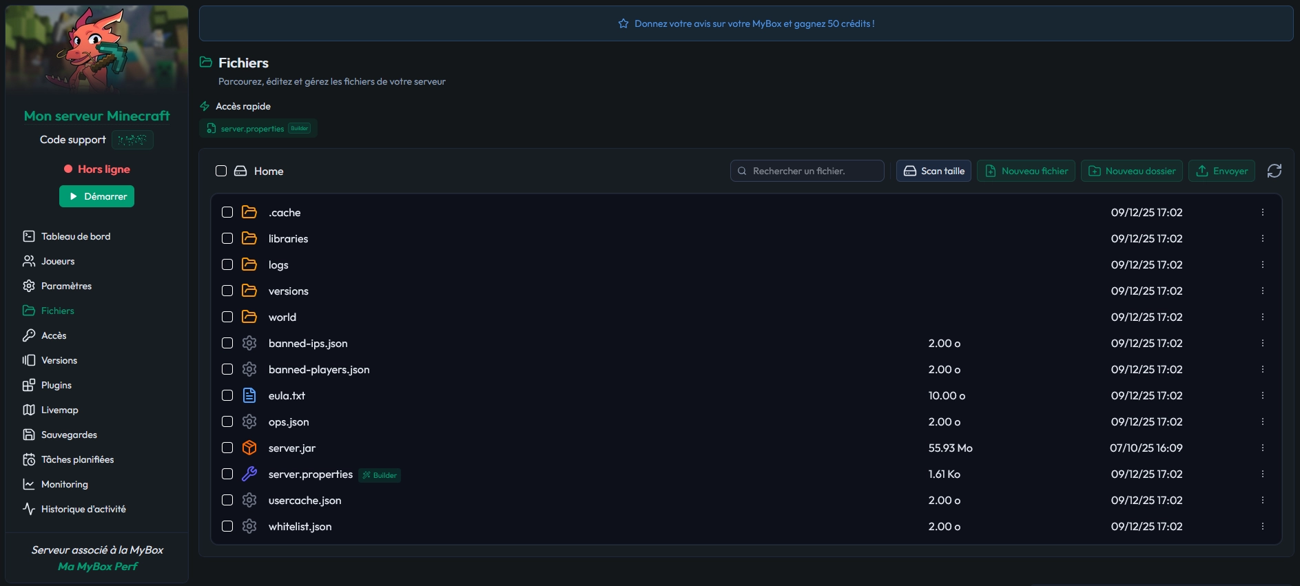 Arborescence des fichiers du serveur Minecraft dans le panel MineStrator