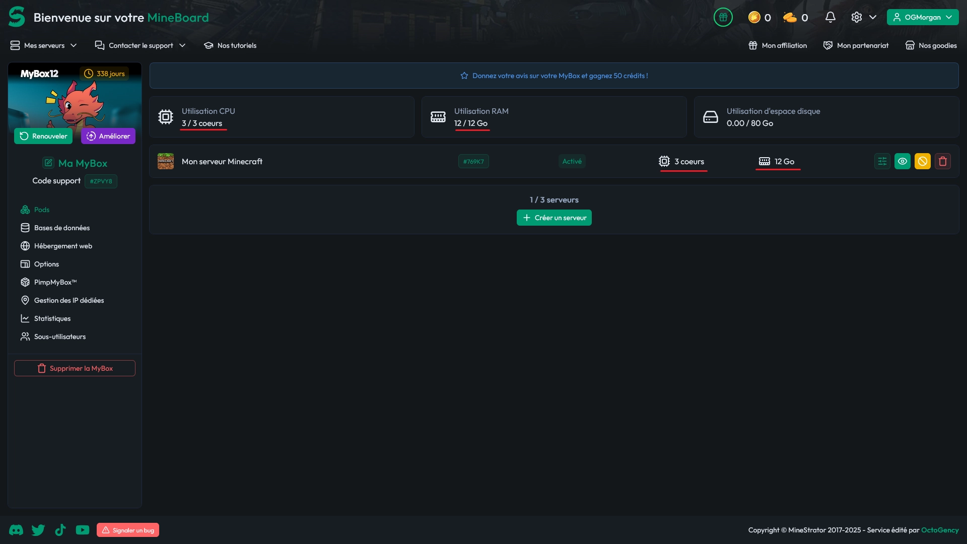 Panel MyBox affichant un serveur Minecraft utilisant toutes les ressources