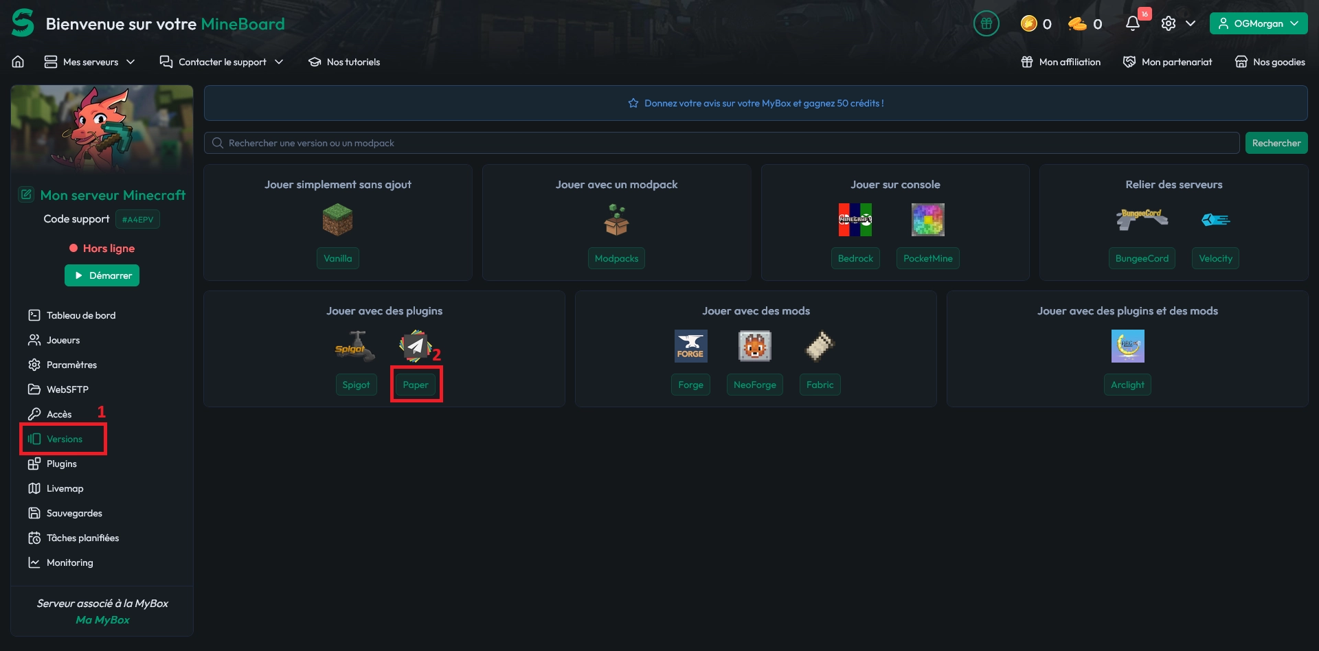 Onglet Versions du panel MineStrator avec la sélection du type de serveur Minecraft