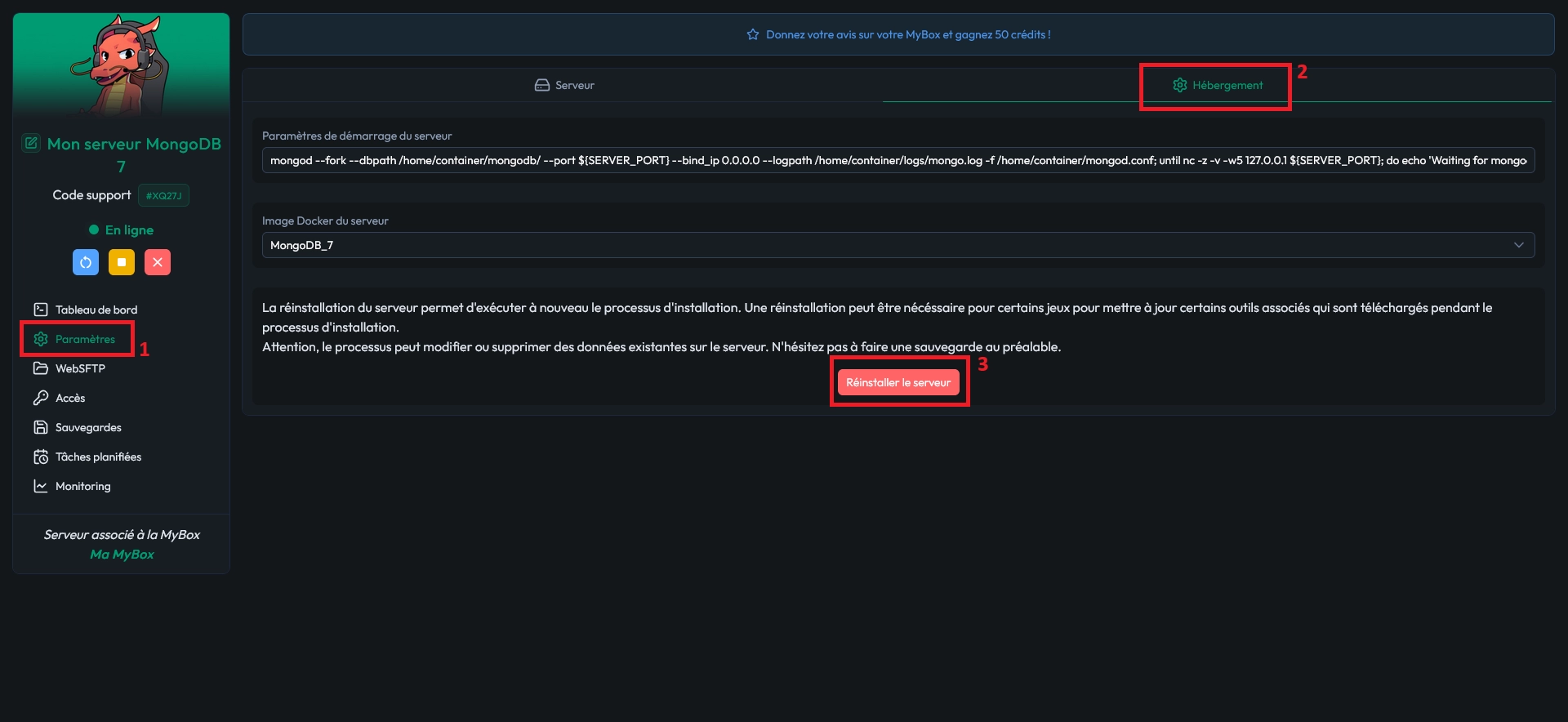 Sous-onglet Hébergement avec le bouton Réinstaller le serveur