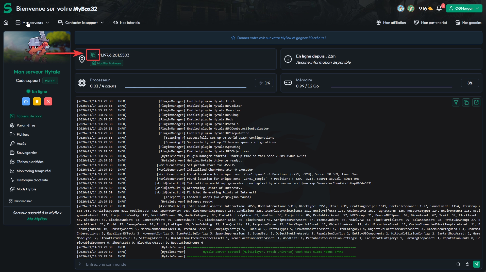 Panel MineStrator affichant l'adresse IP et le port du serveur Hytale