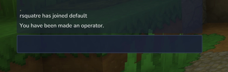 Interface en jeu montrant que le joueur dispose des permissions d'opérateur