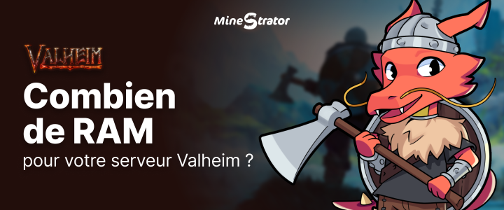 Combien de RAM pour un serveur Valheim en 2026 ?