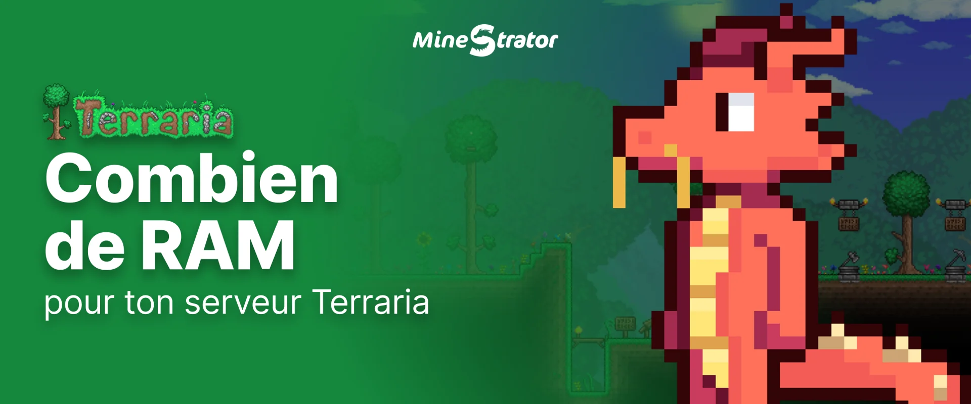 Combien de RAM pour un serveur Terraria en 2026 ?