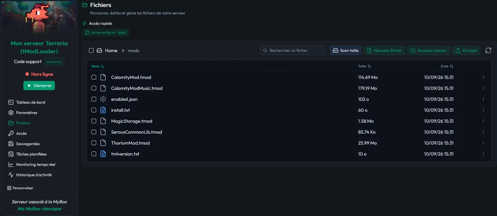 Créer un serveur Terraria tModLoader (Calamity, Thorium) — illustration 4