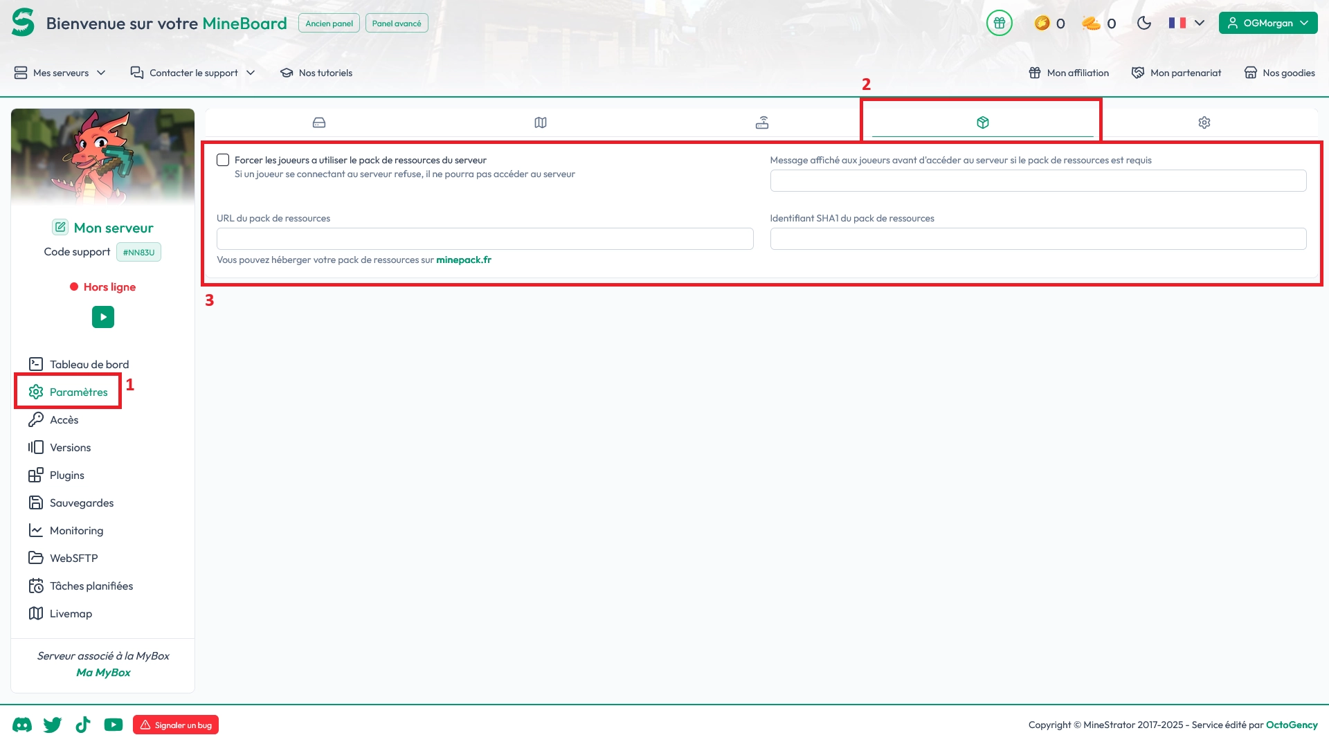 Onglet Paramètres du panel MineStrator avec les champs de configuration du resource pack