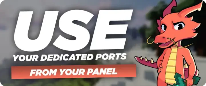 How to use your dedicated ports