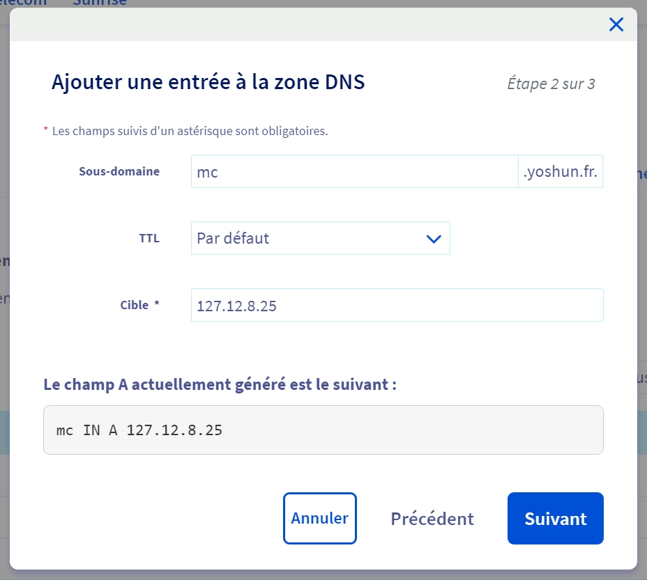 Configuration d'une entrée A pointant vers l'adresse IP du serveur Minecraft