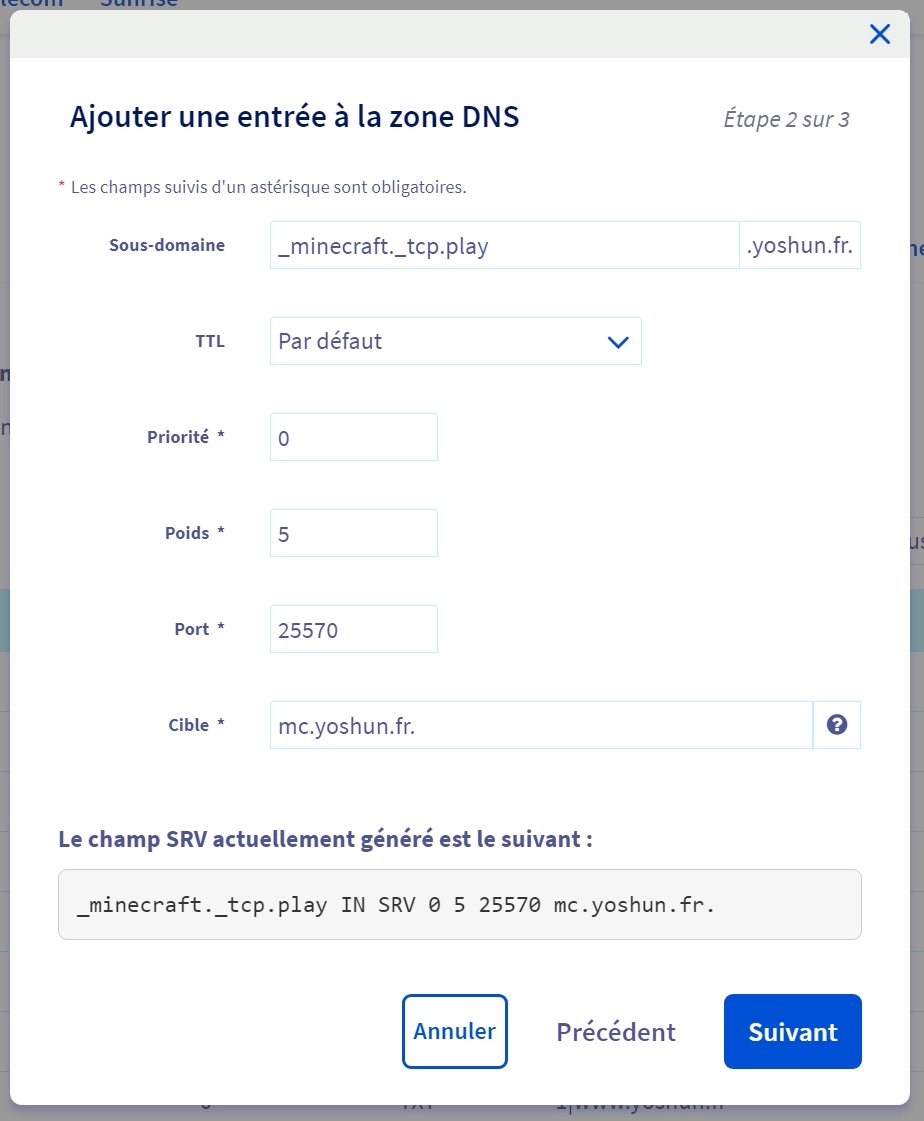 Configuration d'une entrée SRV Minecraft pointant vers le sous-domaine A
