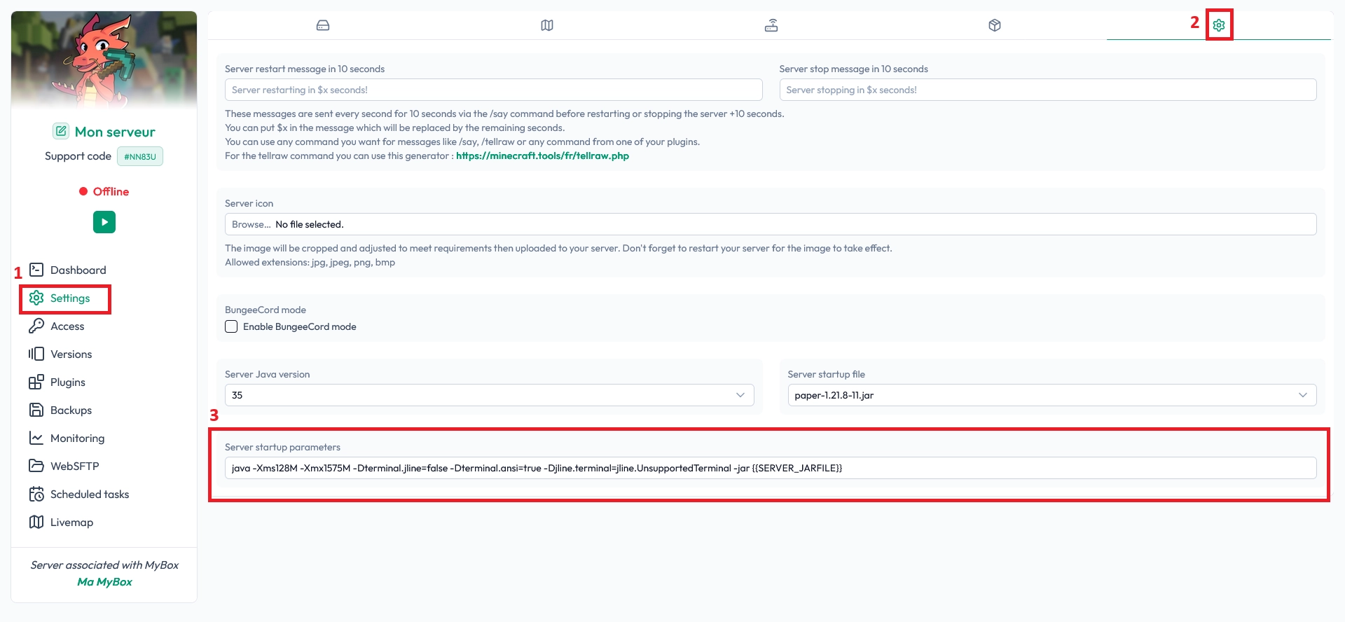Interface des paramètres d'hébergement avec l'option de modification de la commande de démarrage