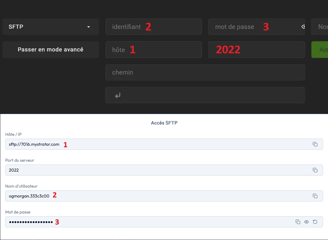 Onglet Accès du panel MineStrator avec les identifiants SFTP