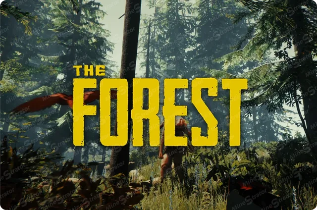 The Forest