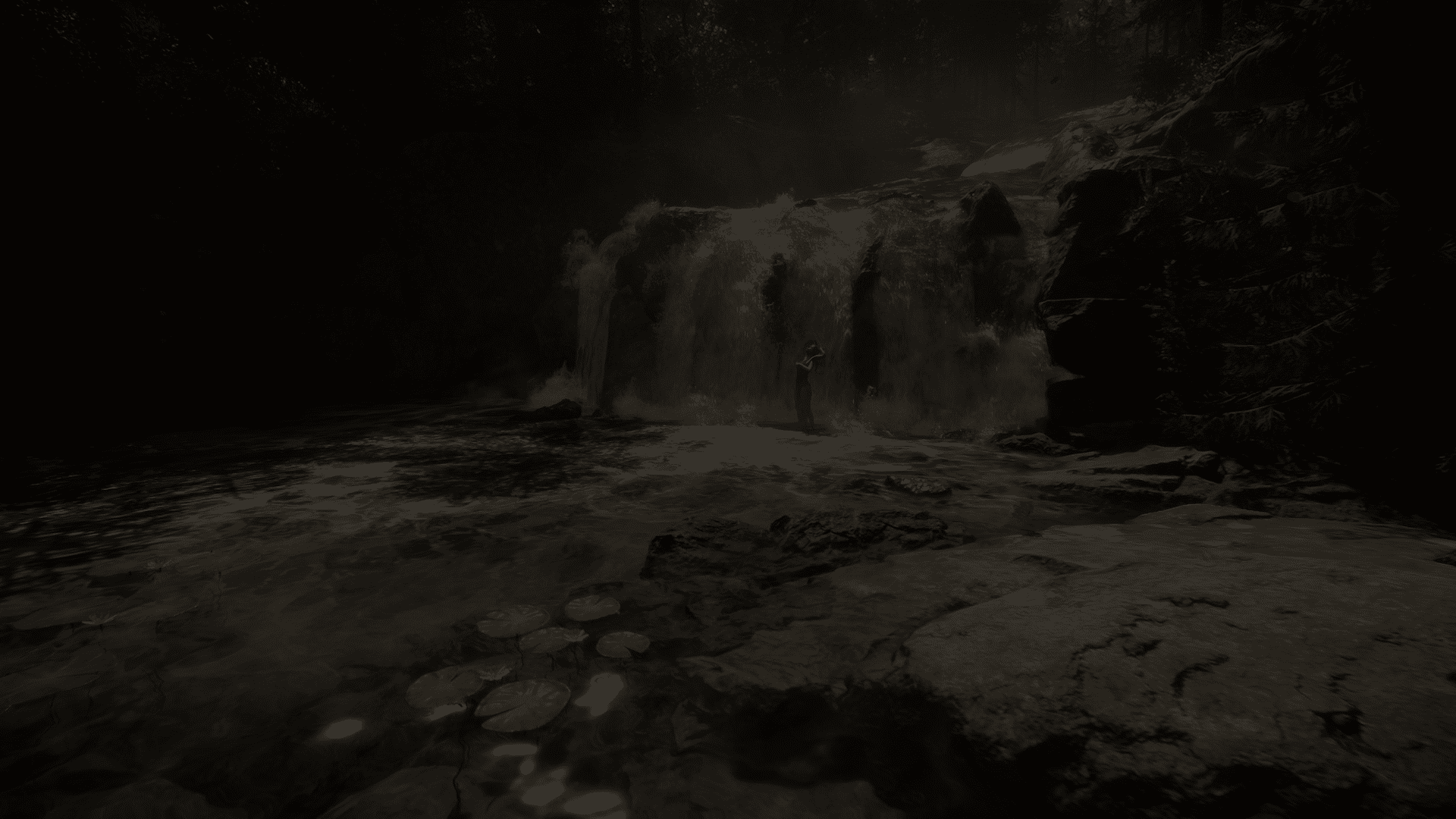 Arrière plan lié au jeu du header Sons of the Forest