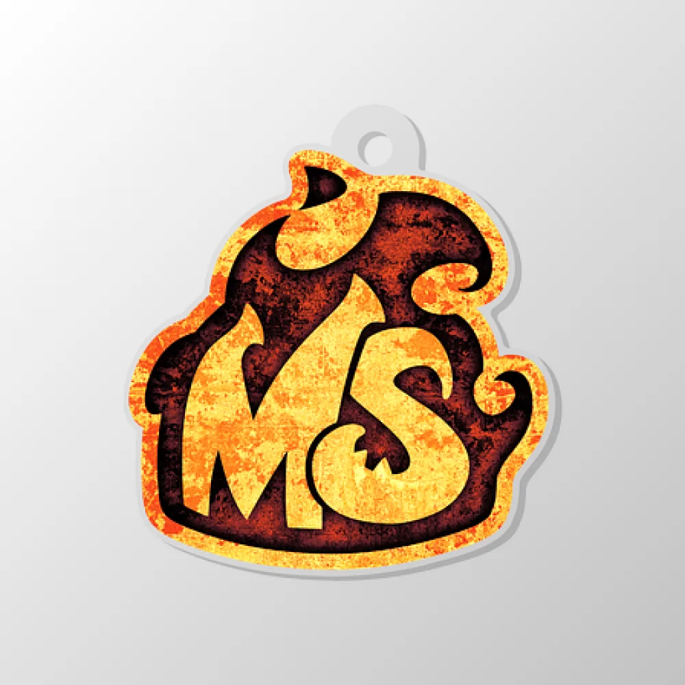 MS CS2 Keychain